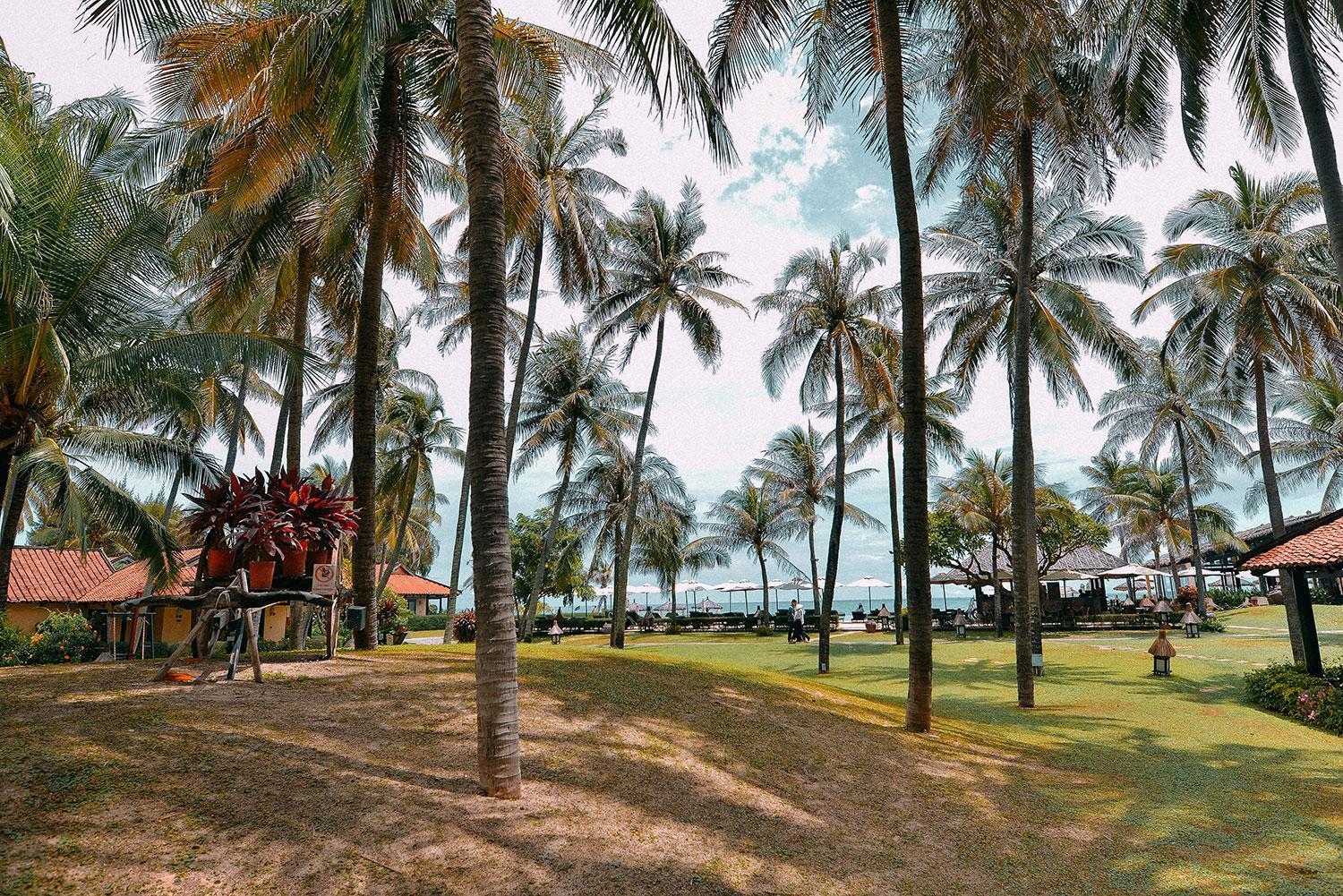 Seahorse Resort & Spa Mui Ne Exterior photo